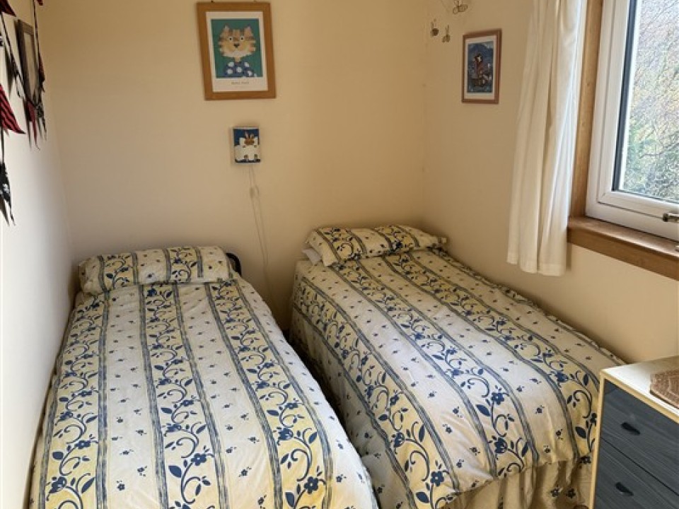 IMG_1701 (540 x 720)